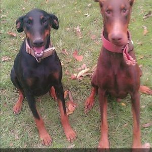 Meet your Posher, Melinda